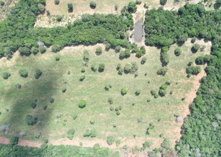 Após imagens de satélites e drone, PMA autua pecuarista por desmatamento ilegal